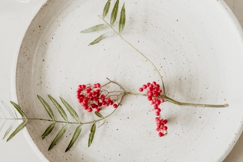Pink peppercorns on a plate.