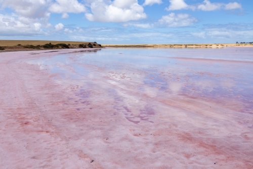 pink salt lake under blue sky with white clouds