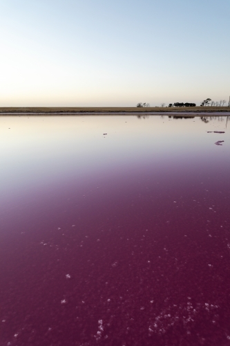 pink water in salt lake at dusk