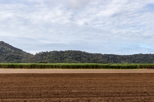 Ploughed cane fields - Australian Stock Image