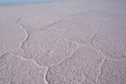 Polygonal pattern in salt crust on a salt lake - Australian Stock Image