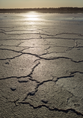 Polygonal pattern in salt crust on a salt lake with backlit sun - Australian Stock Image