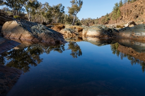 pooled water in gum lined outback creek