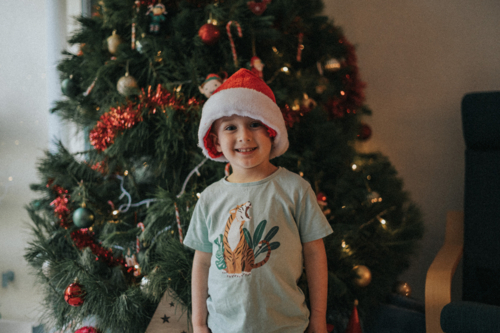 Portrait of a joyful boy in a Santa hat during the holidays by christmas tree - Australian Stock Image