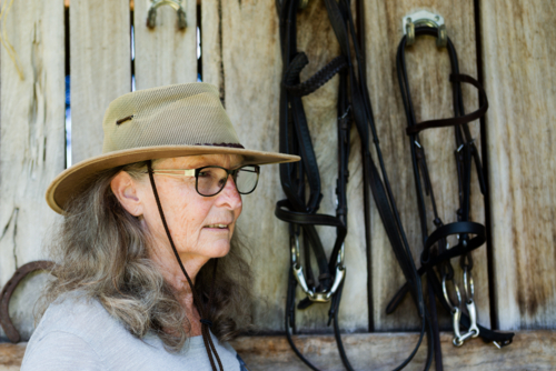 Portrait of an older woman with hat and glasses in front of - Australian Stock Image