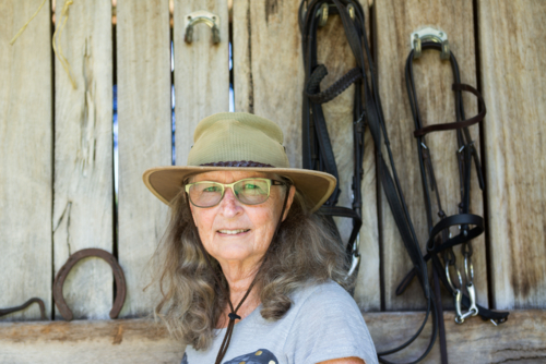 Portrait of an older woman with hat and glasses in front of wooden stables, horseshoe and bridles. - Australian Stock Image