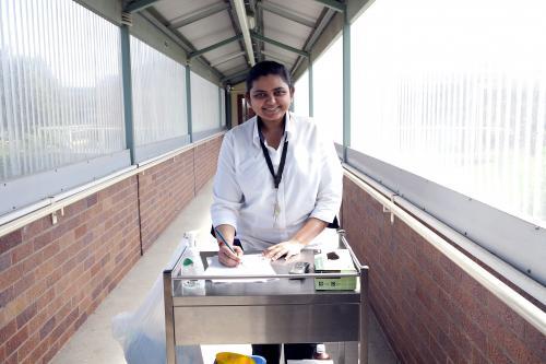 Portrait of asian nurse doing rounds at a regional nursing home