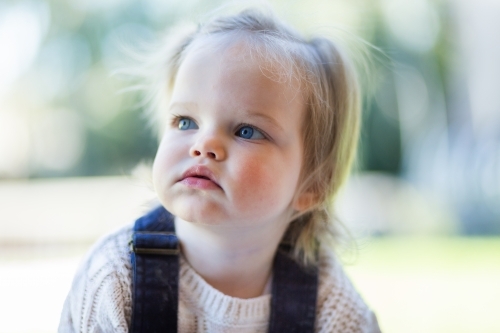 Portrait of little blue eyed toddler - Australian Stock Image