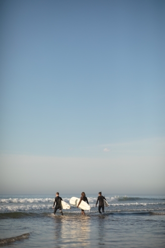 Portrait of surfers walking in water - Australian Stock Image