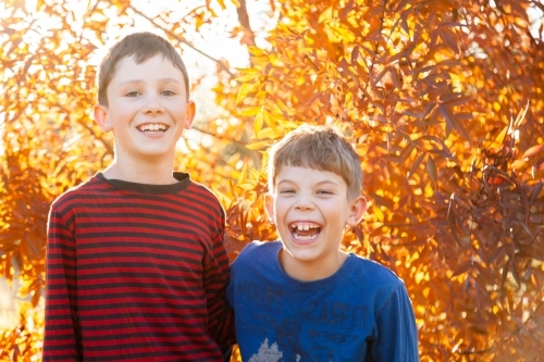 Portrait of young brothers laughing together in autumn - Australian Stock Image