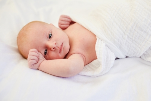 Portraitof newborn baby - Australian Stock Image
