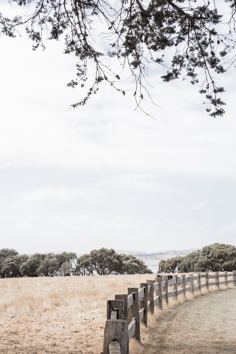 Post and rail fence with dry, summer grasses and trees in background - Australian Stock Image