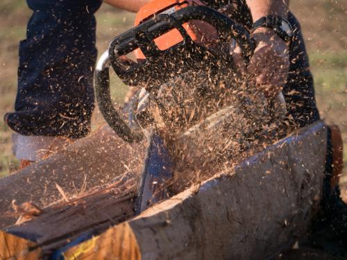 Post splitting competition - Australian Stock Image