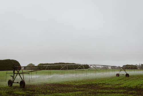 potato irrigation on a green country side farm crop - Australian Stock Image