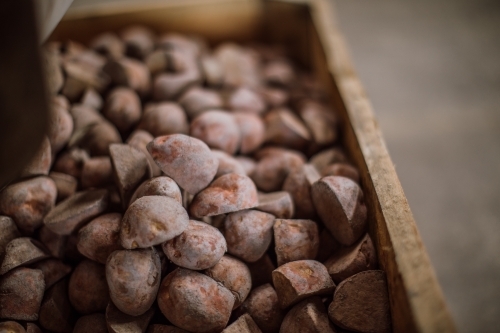 Potatoes in large wooden crate in factory - Australian Stock Image
