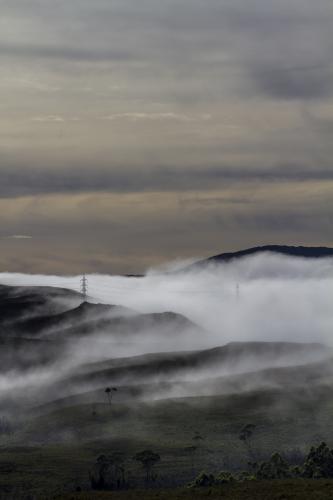 Power lines in the Mist - Australian Stock Image