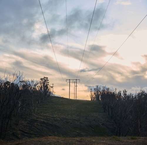 Power lines running through cleared bushland - Australian Stock Image