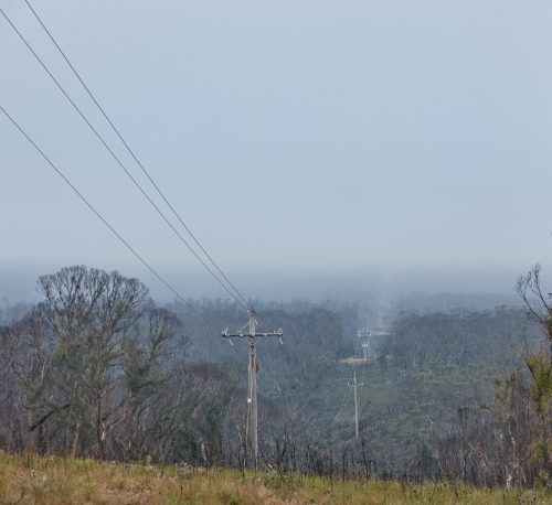 Power lines running through cleared bushland - Australian Stock Image