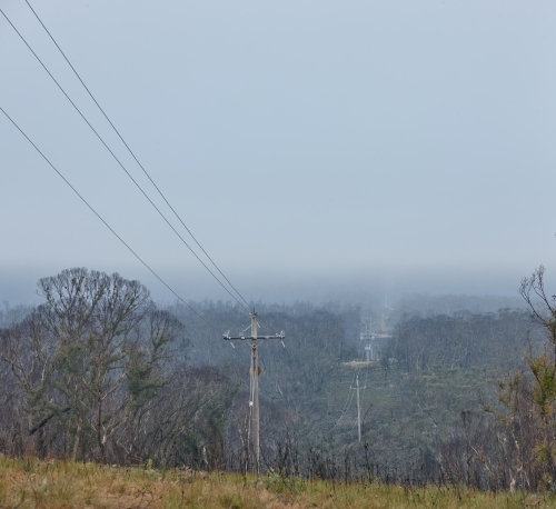Power lines running through cleared bushland