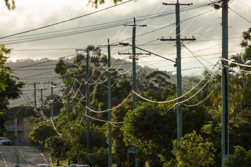 Power lines suspended on electricity poles on a street in Brisbane, Queensland - Australian Stock Image