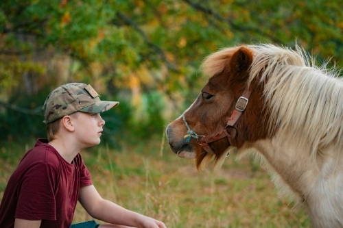Pre-teen boy and pony gazing at each other - Australian Stock Image