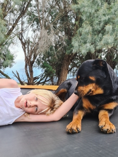 Pre-teen boy relaxing on trampoline with rottweiler dog - Australian Stock Image