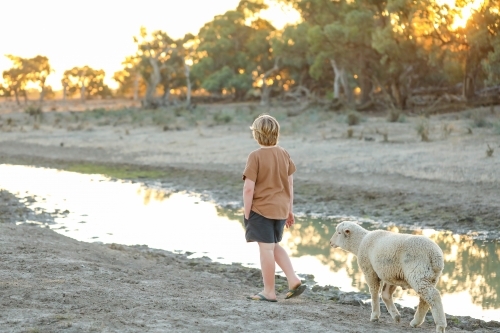 Pre-teen boy walking along creek being followed by pet sheep in dry remote bush setting - Australian Stock Image