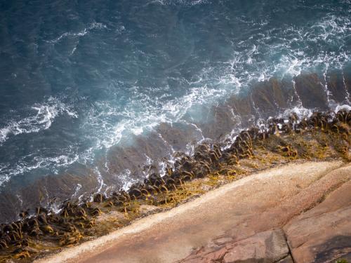 Pretty wave pattern and seaweed viewed from a cliff top