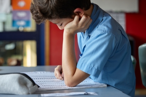 Primary school student in classroom working on homework - Australian Stock Image