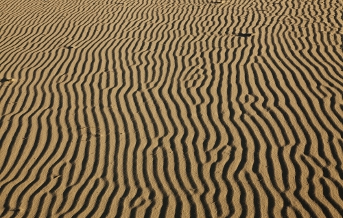 Print of patterns in desert sand - Australian Stock Image