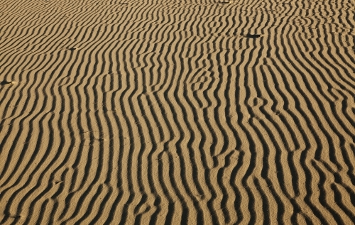 Print of patterns in desert sand