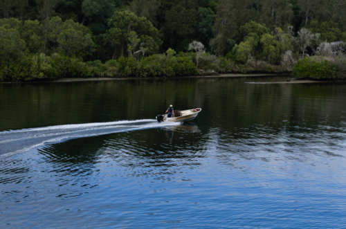 Professional fisherman speeding in boat in river with bush background - Australian Stock Image