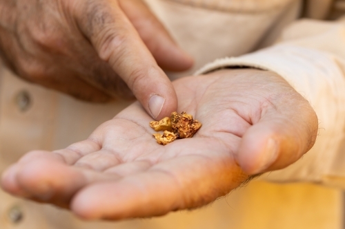 prospector's finger pointing to gold nuggets in his hand - Australian Stock Image