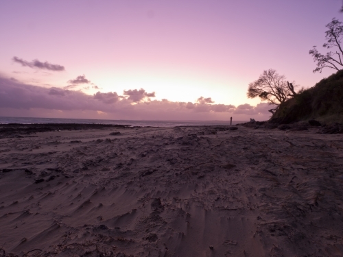 Purple windswept sunset at beach