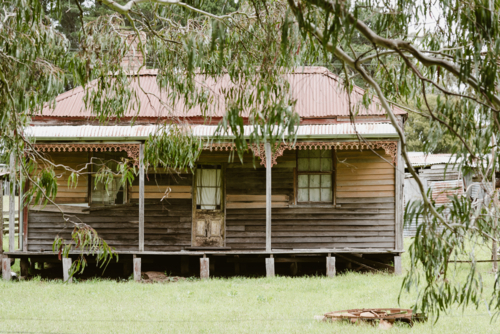 quaint old weatherboard farm cottage with gum trees in the foreground - Australian Stock Image