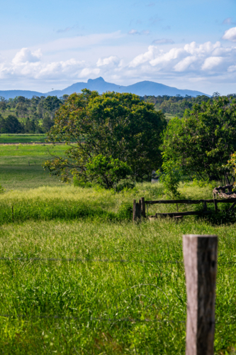 Queensland countryside with vibrant greenery and Mount Wollumbin in the background - Australian Stock Image