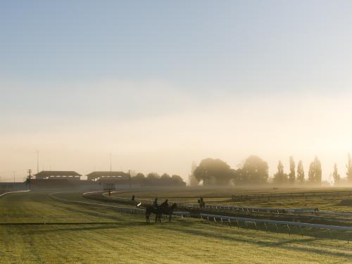 Race horses training in early morning mist - Australian Stock Image