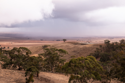 Rain clouds building up over drought affected fields, Clare Valley, South Australia - Australian Stock Image