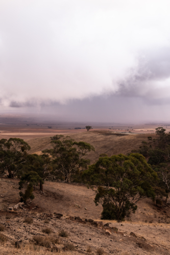Rain clouds building up over drought affected fields, Clare Valley, South Australia - Australian Stock Image