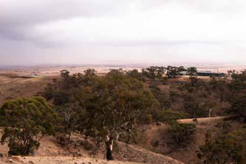 Rain clouds building up over drought affected fields, Clare Valley, South Australia - Australian Stock Image