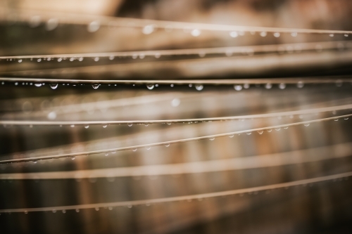 Rain drops on clothes line - Australian Stock Image