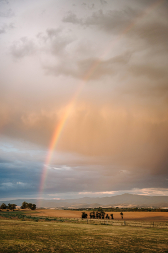 Rainbow descending through rain showers above rolling rural farmland - Australian Stock Image