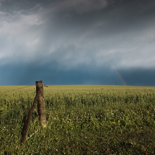 Rainbow over wheat crop and fence post on a rural farming property - Australian Stock Image