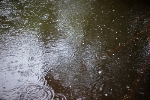 Raindrops making circular patterns on surface of river - Australian Stock Image