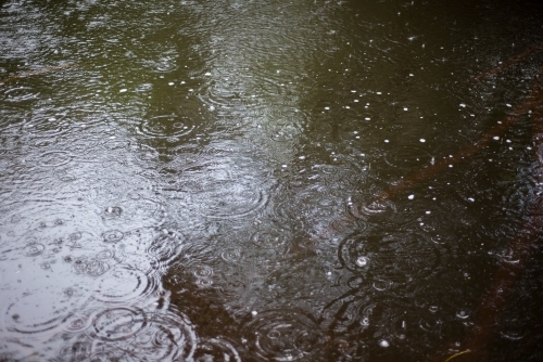 Raindrops making circular patterns on surface of river