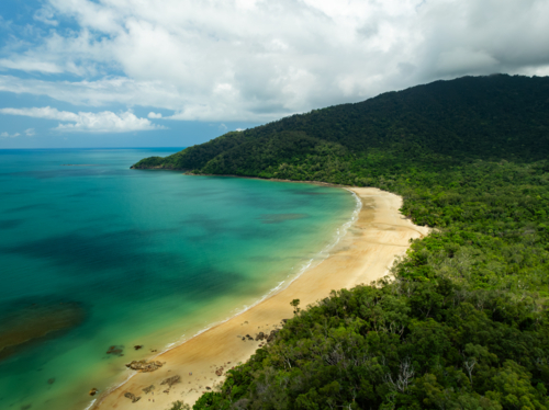 Rainforest and secluded beach landscape - Australian Stock Image