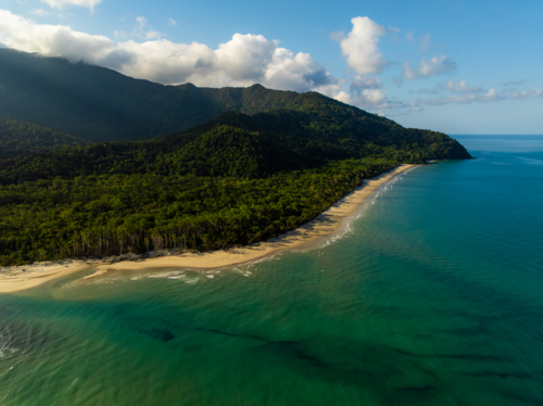 Rainforest and secluded beach landscape - Australian Stock Image