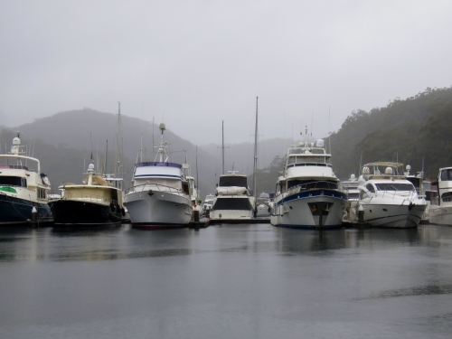 Rainy waterfront at a marina on grey dreary day
