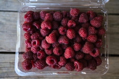 Raspberries in a plastic punnet - Australian Stock Image