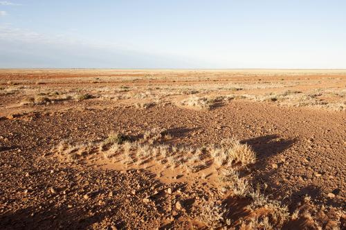 Red centre outback landscape in the afternoon - Australian Stock Image
